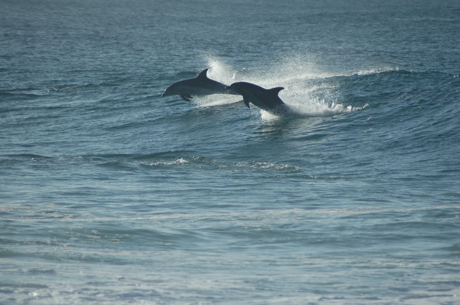 Commercial Property for Sale in Kaysers Beach Eastern Cape